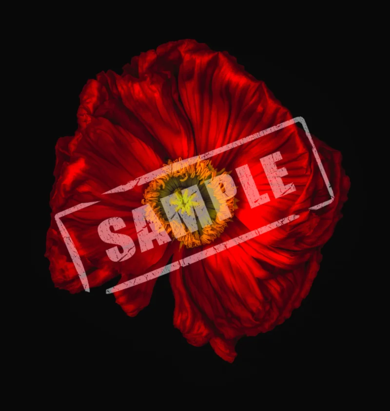 Red Flower