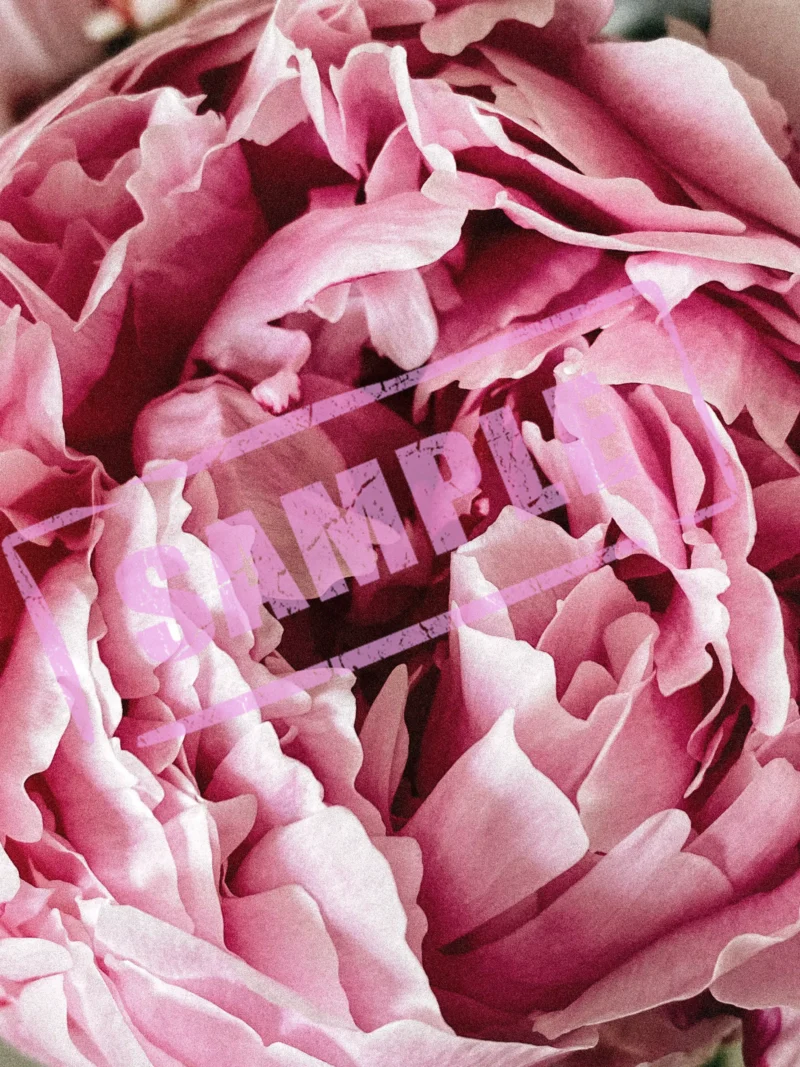 Folding flowers