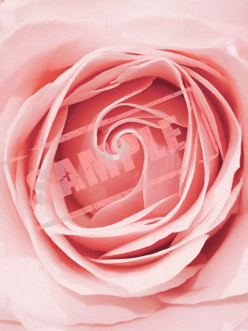 Full bloom